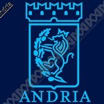Amministrative Andria: i 40 Consiglieri eletti