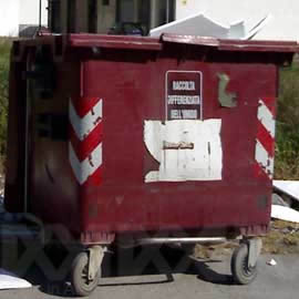 polistirolo nell'umido