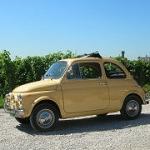 Domenica 14 settembre 1° Raduno Nazionale Automobilistico riservato alle mitiche FIAT 500 Domenica 14 settembre 1° Raduno Nazionale Automobilistico riservato alle mitiche FIAT 500