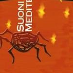 Festival Suoni dal Mediterraneo, sabato 11 settembre, spettacoli di Stefano Corsi e Nini D'Arac Festival Suoni dal Mediterraneo, sabato 11 settembre, spettacoli di Stefano Corsi e Nini D'Arac