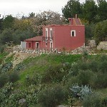 La Città di Andria chiede il Comando Provinciale del Corpo Forestale dello Stato La Città di Andria chiede il Comando Provinciale del Corpo Forestale dello Stato