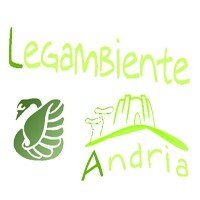 Sabato 19 Novembre: Sabato 19 Novembre: